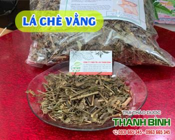 Mua bán lá chè vằng tại huyện hoài đức ngăn bế kinh và khí hư hiệu quả