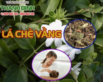 Mua bán lá chè vằng ở quận bình tân giúp phục hồi sức khỏe cho phụ nữ sau sinh