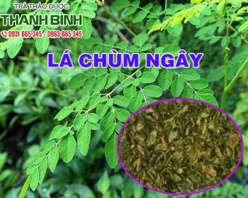 Mua bán lá chùm ngây tại quận 10 ngừa lão hóa và làm mờ thâm nám hiệu quả