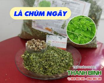 Mua bán lá chùm ngây tại quận đống đa dùng trị táo bón và tiêu chảy