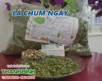 Mua bán lá chùm ngây ở quận bình tân bảo vệ khỏi bệnh ung thư và thoái hóa