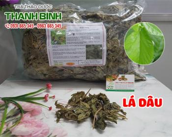 Mua bán lá dâu tại quận 11 có tác dụng giúp làm cho ra mồ hôi 