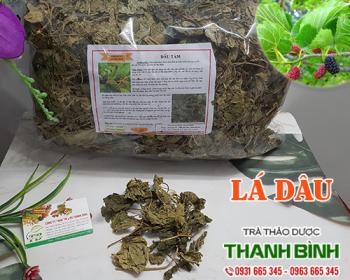 Mua bán lá dâu tại huyện đông anh giúp hạ huyết áp hiệu quả nhất