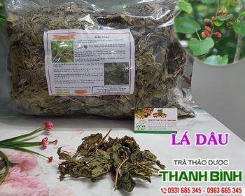 Mua bán lá dâu tại kom tom có tác dụng tẩy tế bào chết hiệu quả nhất