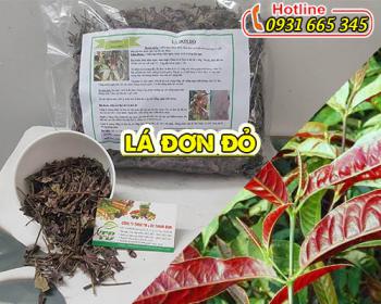 Mua bán lá đơn đỏ tại tphcm uy tín chất lượng tốt nhất