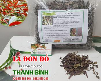 Mua bán lá đơn đỏ tại quận đống đa giúp điều trị sưng tấy do mề đay