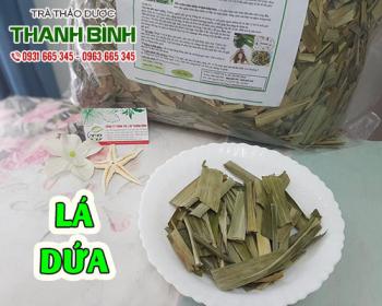 Thảo dược lá dứa dễ kiếm và tốt cho sức khỏe