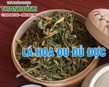 Mua bán lá hoa đu đủ đực tại quận 5 có tính năng chống oxy hóa hiệu quả