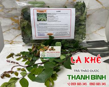 Mua bán lá khế tại huyện ba vì giúp điều trị tiểu ra máu uy tín nhất