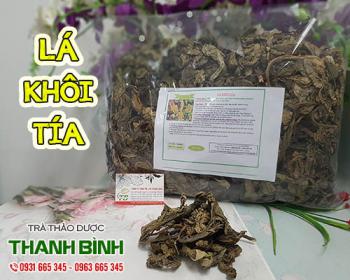 Trị bệnh viêm đau dạ dày hiệu quả với lá khôi tía