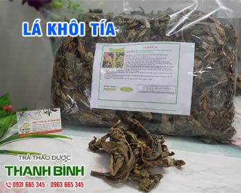 Mua bán lá khôi tía tại quận 5 hỗ trợ cơ thể kích thích tiêu hóa hiệu quả