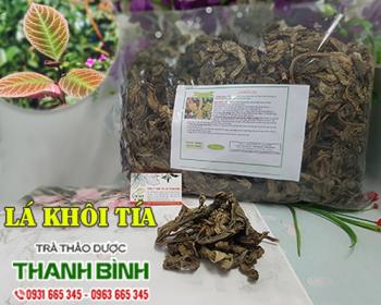 Mua bán lá khôi tía tại kom tom có tác dụng điều trị ho an toàn nhất