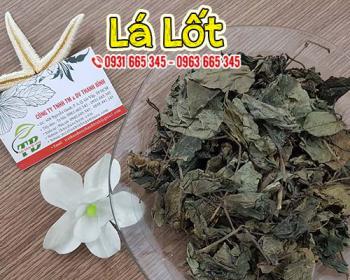 Lá lốt giảm đau nhức mồ hôi tay chân và bồi bổ sức khỏe cực hay