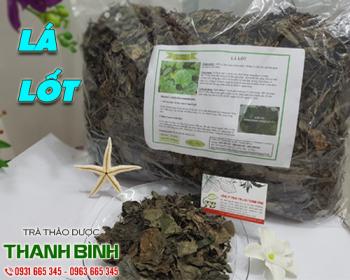 Mua bán lá lốt ở quận tân bình chữa bệnh phụ khoa cho phụ nữ