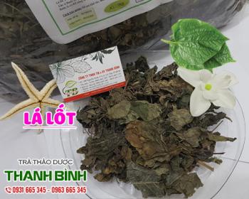 Mua bán lá lốt tại huyện thanh trì giúp chữa phù thũng do suy thận