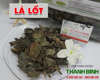 Mua bán lá lốt ở huyện hóc môn chữa phù thũng do suy thận