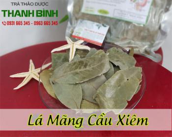 Lá mãng cầu xiêm thanh bình và lợi ích tuyệt vời