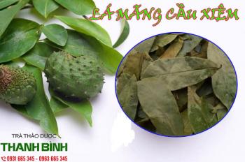 Mua lá mãng cầu xiêm giá rẻ uy tín chất lượng nhất ở đâu?