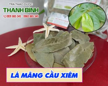 Mua bán lá mãng cầu xiêm tại huyện thường tín rất có lợi cho hệ tiêu hóa