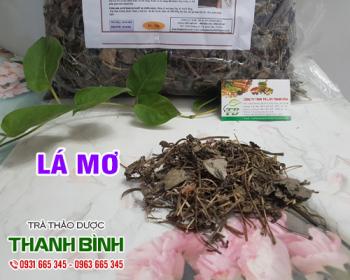 Mua bán lá mơ giá rẻ uy tín chất lượng nhất ở đâu ?