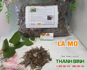 Mua bán lá mơ ở quận phú nhuận điều trị chàm da và giời leo