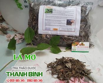 Mua bán lá mơ tại điện biên giúp điều trị đầy bụng ăn khó tiêu rất tốt
