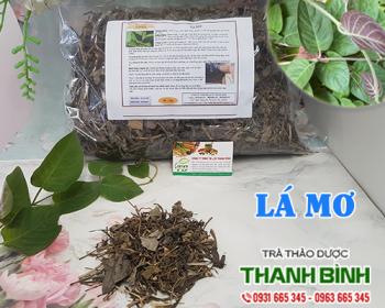 Mua bán lá mơ tại huyện từ liêm có tác dụng điều trị rối loạn tiêu hóa