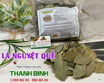 Mua bán lá nguyệt quế tại huyện đan phượng có tác dụng điều trị tiêu chảy
