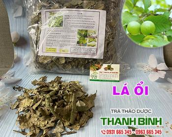 Lá ổi [hình ảnh cách sử dụng] mua ở đâu chất lượng ?