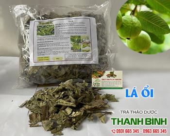 Mua bán lá ổi tại quận 7 có tác dụng điều trị cảm lạnh uy tín nhất