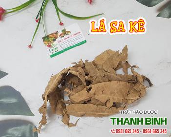 Mua bán lá sa kê ở quận tân bình giúp điều trị nóng trong gây khó tiểu