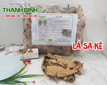 Mua lá sa kê giá rẻ uy tín chất lượng nhất ở đâu?
