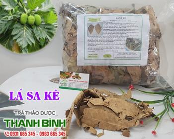 Mua bán lá sa kê tại bắc kạn giúp ngừa nhiễm trùng ngoài da uy tín nhất