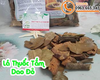 Lá thuốc tắm dao đỏ ngâm mình thư giãn và hỗ trợ trị bệnh rất tốt