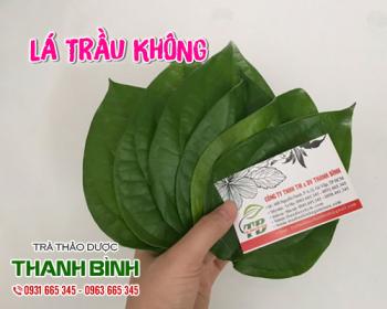 Mua bán lá trầu không tại huyện ba vì làm giảm đau nhức do lao động nặng