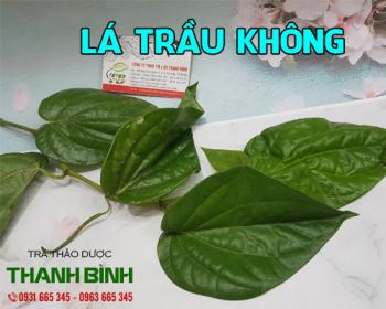 Mua bán lá trầu không ở quận bình tân có tác dụng trị đau họng