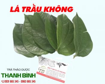 Mua bán lá trầu không tại quận 10 điều trị hôi miệng và hôi chân