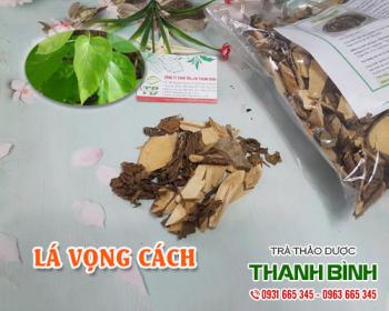 Mua bán lá vọng cách tại quận hà đông sử dụng chữa tiêu chảy và kiết lỵ.