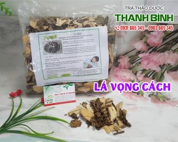 Mua bán lá vọng cách tại huyện chương mỹ cải thiện hệ tiêu hóa hiệu quả