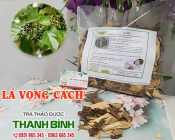 Mua bán lá vọng cách tại khánh hòa có tác dụng điều trị bướu giáp basedo