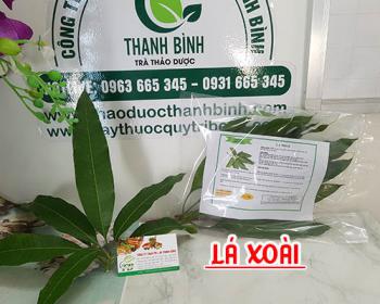 Mua lá xoài ở đâu tại tphcm?