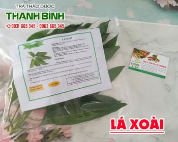 Mua bán lá xoài giá rẻ uy tín chất lượng nhất ở đâu ?