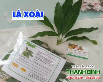 Mua bán lá xoài tại quận 8 phù hợp cho người bị nóng trong