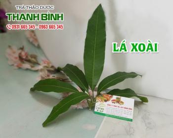Mua bán lá xoài tại huyện hoài đức ngăn ngừa biến chứng ở mạch máu