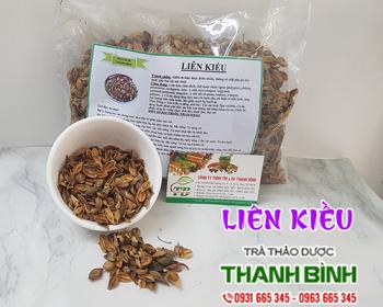 Mua bán liên kiều tại phú yên có công dụng giải cảm hiệu quả nhất