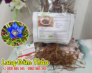 Long đởm thảo hỗ trợ điều trị bệnh hiệu quả bạn nên biết