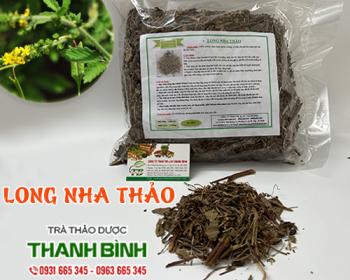 Mua bán long nha thảo tại quận hà đông có tác dụng giải độc uy tín nhất