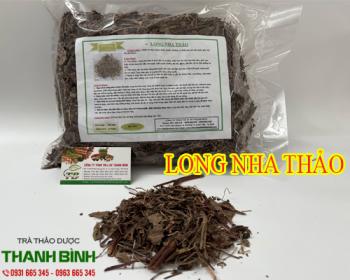 Mua bán long nha thảo tại quận 4 giúp điều trị chứng chảy máu cam