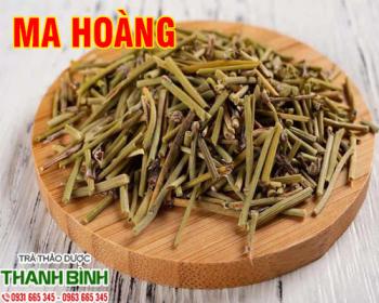 Mua bán ma hoàng tại quận 1 chữa viêm khí quản hen suyễn cảm mạo