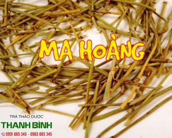 Mua bán ma hoàng tại quận 9 chữa các chứng ho suyễn viêm đường hô hấp